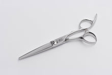 Naložite sliko v pregledovalnik galerije, Frizerske škarje dl-POWDER Prestige威信