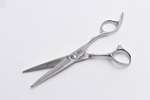 Naložite sliko v pregledovalnik galerije, Frizerske škarje dl-POWDER Prestige威信