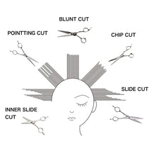 Naložite sliko v pregledovalnik galerije, Frizerske škarje dl-yk Prestige威信 - ATS314c